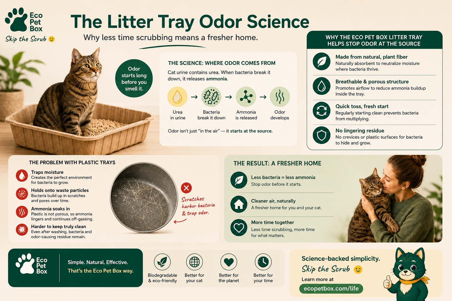 Infographic: The Litter Tray Odor Science — how urea, bacteria, and ammonia cause litter box smell, why plastic traps odor, and how EcoPetBox's plant-fibre tray absorbs it at the source.