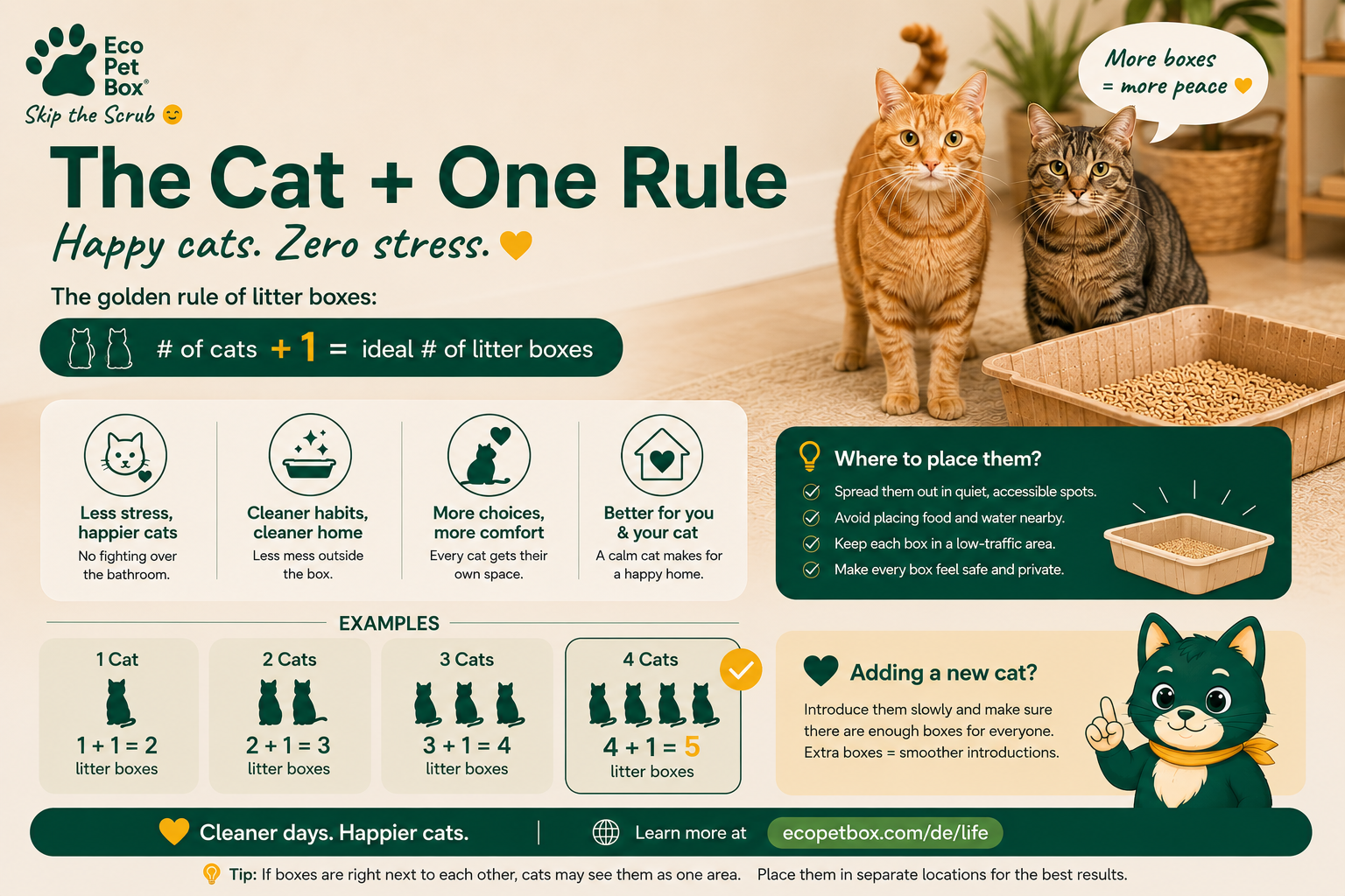 Infografik: Die Katze + 1 Regel – so viele Katzentoiletten wie Katzen im Haushalt, plus eine zusätzliche, für weniger Stress, sauberere Gewohnheiten und mehr Komfort.
