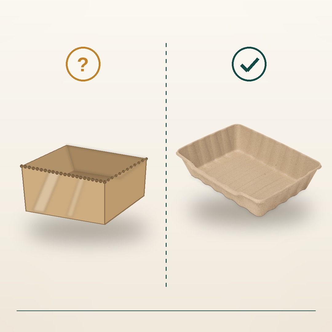 Lettiera usa e getta biodegradabile EcoPetBox stile cartone con sabbietta di legno