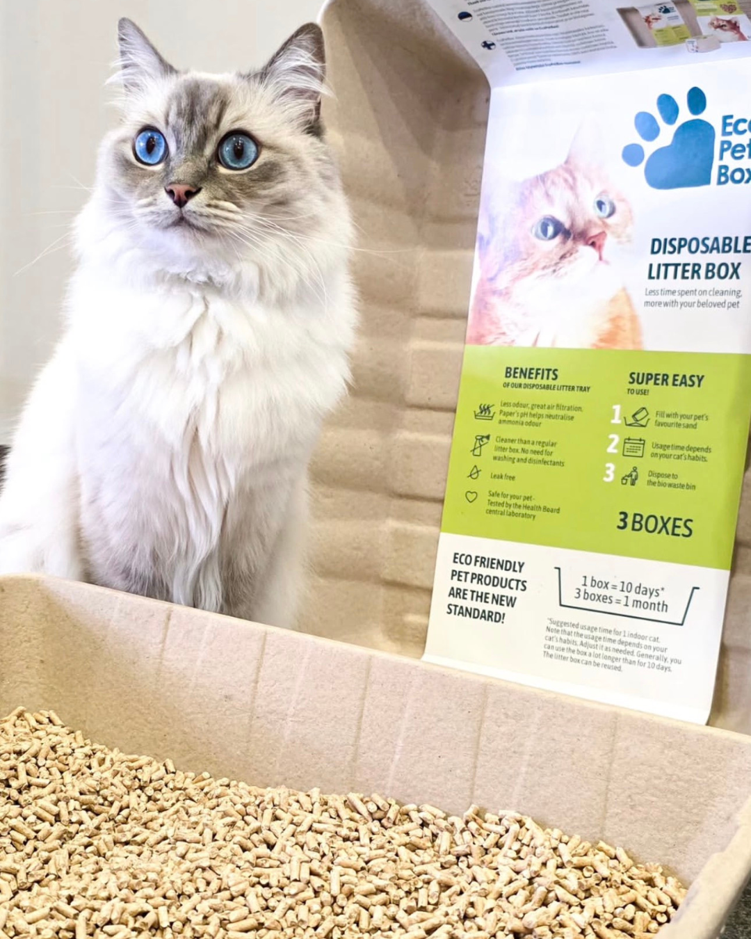 Warum Backup-Produkte Stress reduzieren – für Kaninchen und Halter