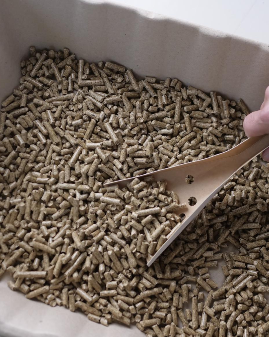 Nachhaltiges Katzenstreu im Vergleich