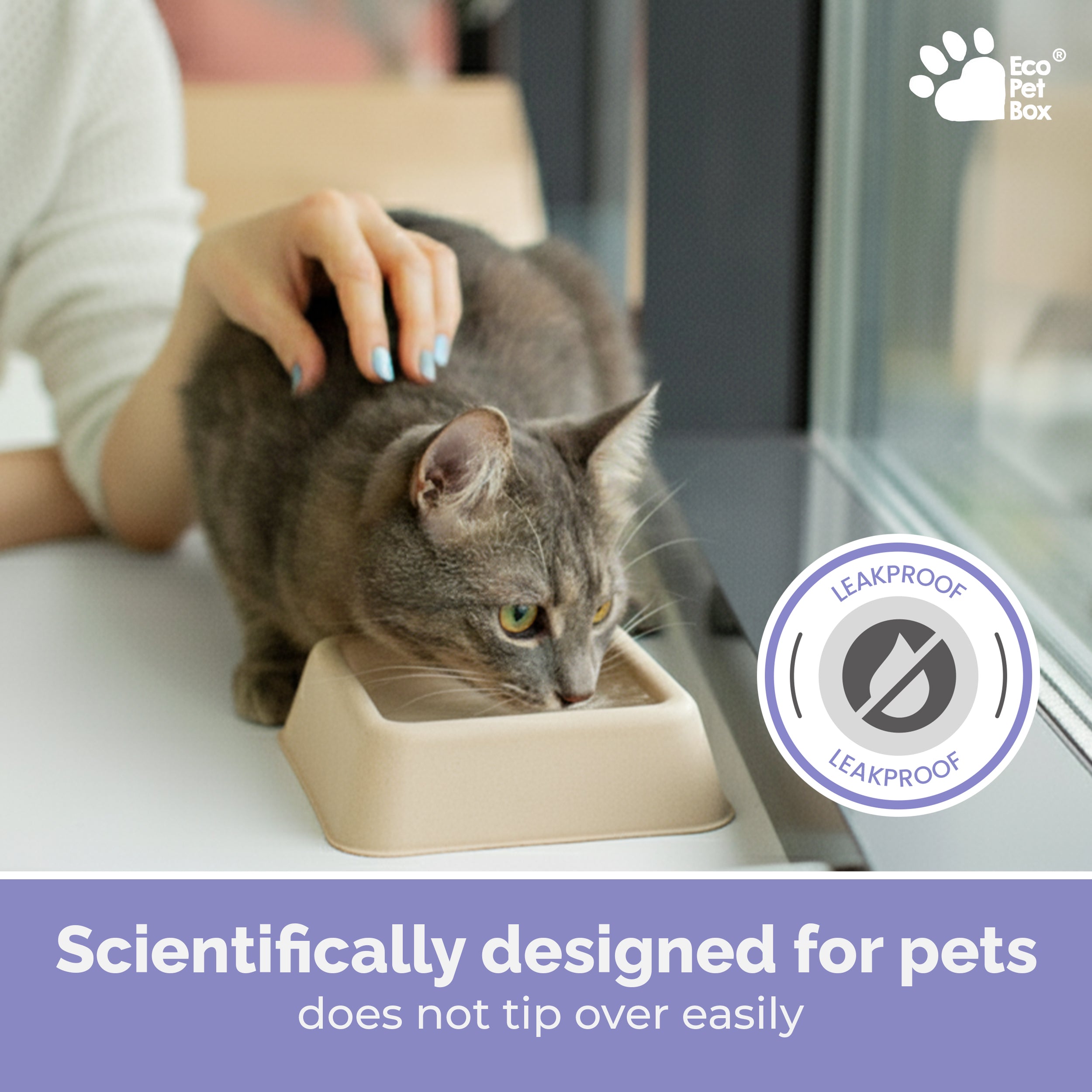 EcoPetBox Disposable Pet Food Bowl