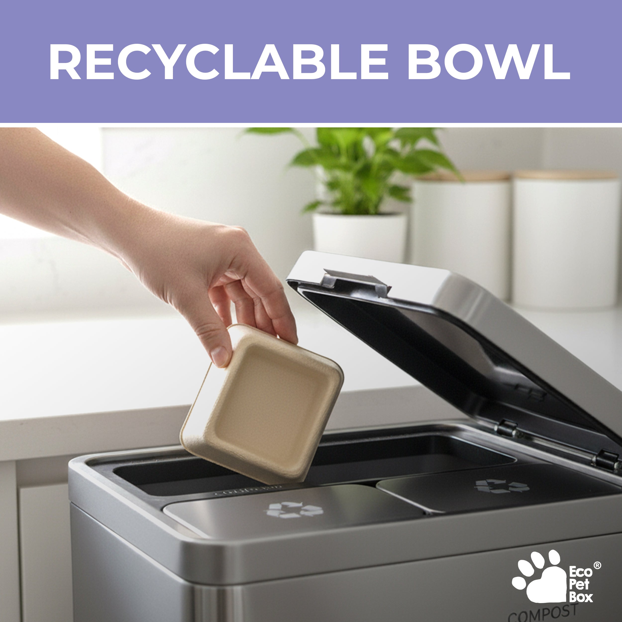 EcoPetBox Disposable Pet Food Bowl