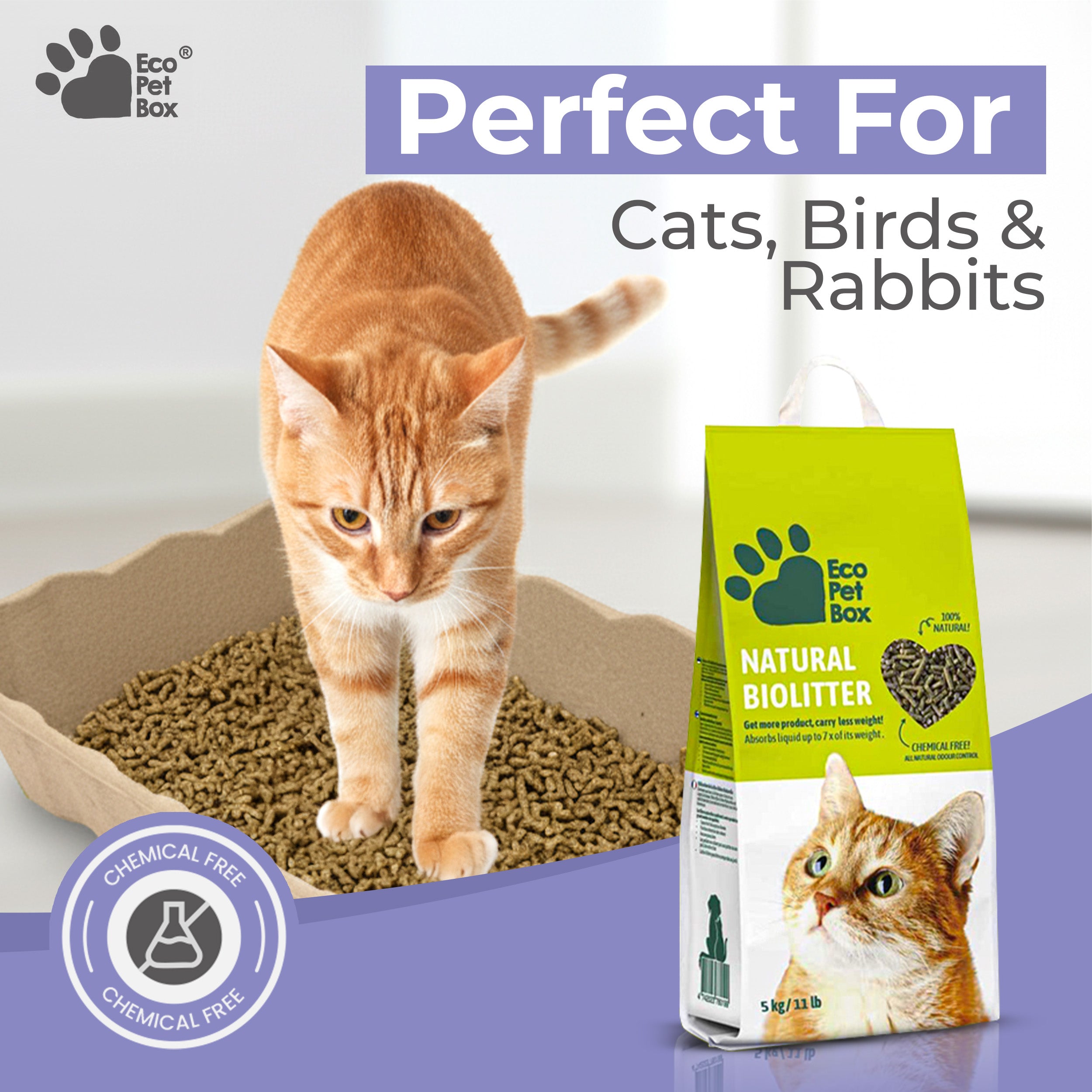 EcoPetBox Compostable Natural Organic Litter for Cats and Birds