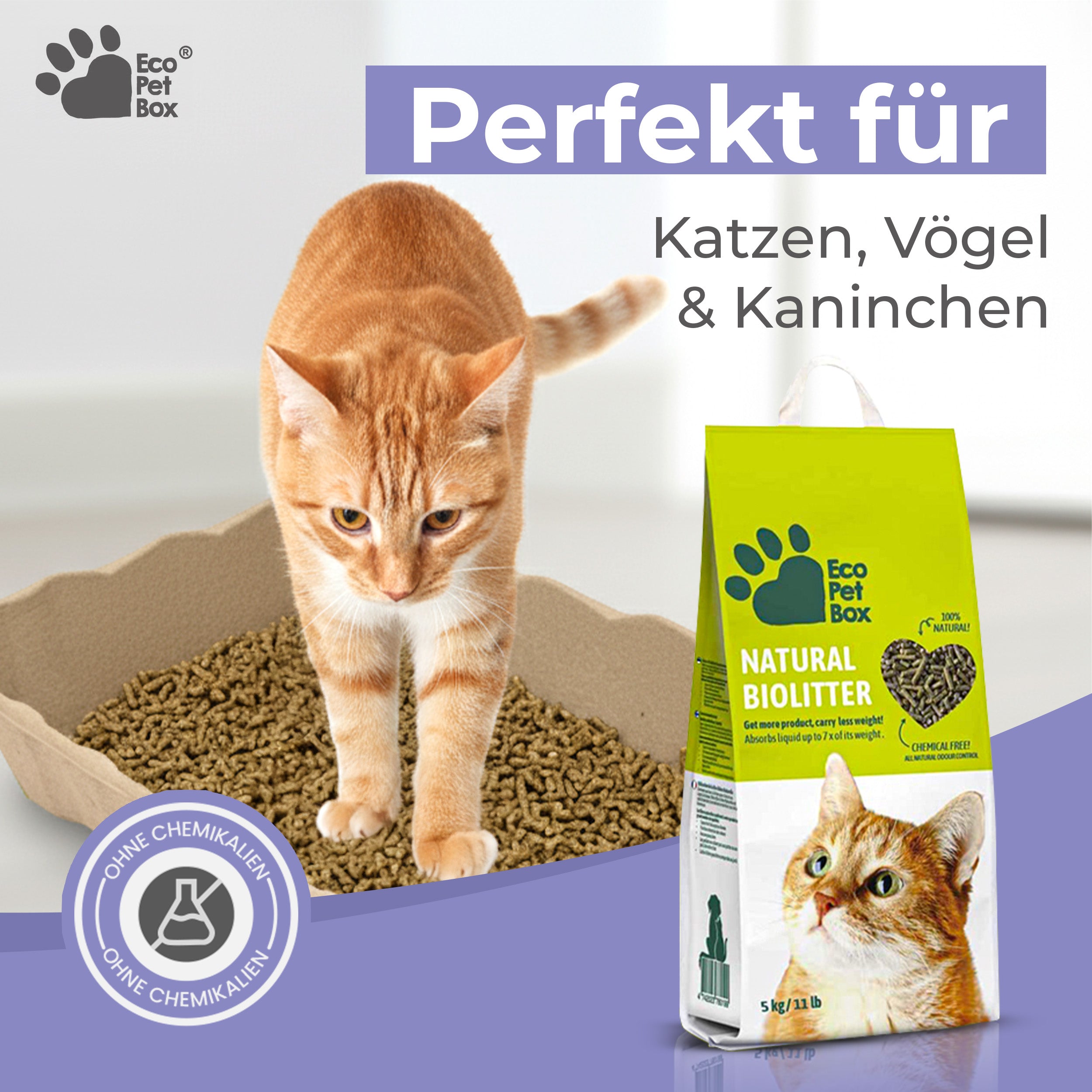 Komplettset Recyclebare-Katzentoiletten 3/6st + 5/10kg Streu oder 3 Näpfe + 3/6 Schaufeln. 100% biologisch abbaubar. Praktisch, hygienisch und geruchsfrei