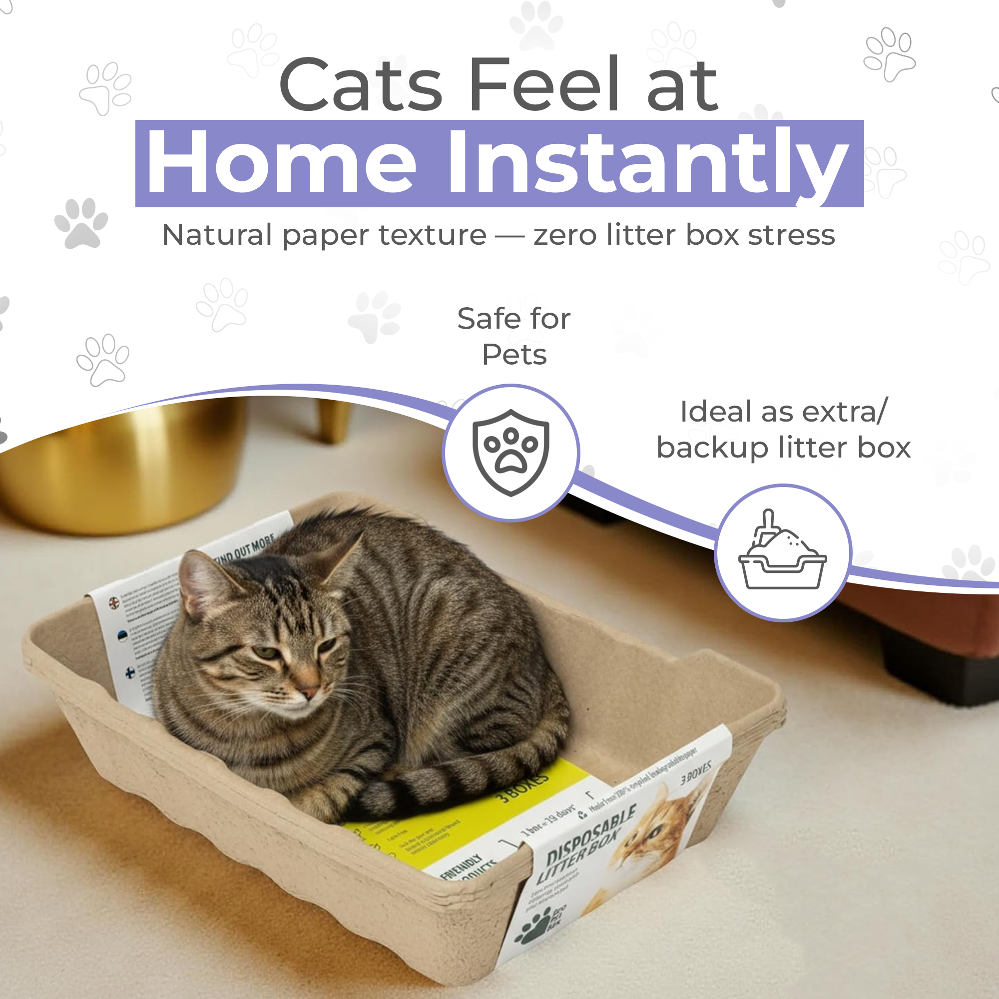 EcoPetBox XL Open Cat LitterTray Highe Edge