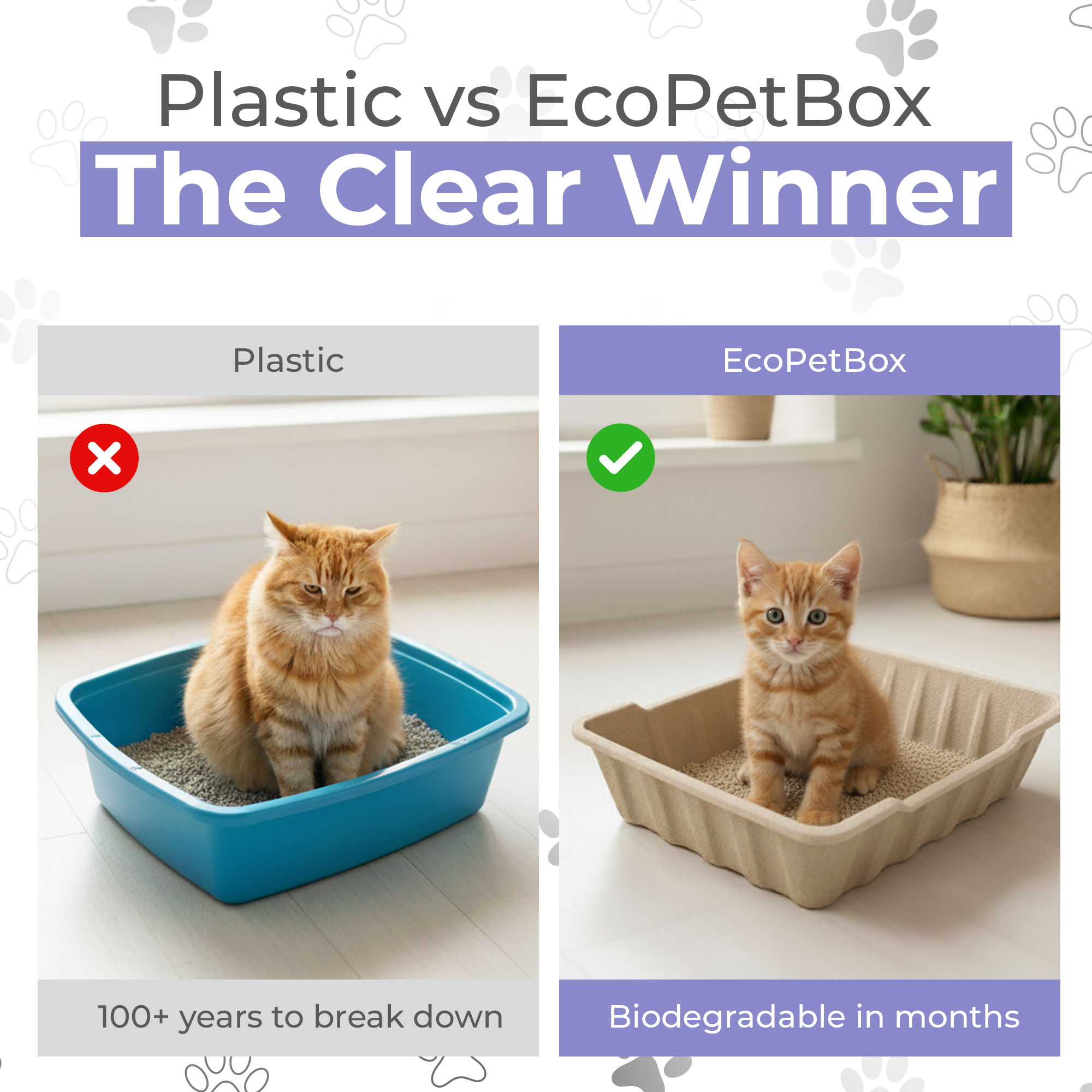 EcoPetBox XL Open Cat LitterTray Highe Edge