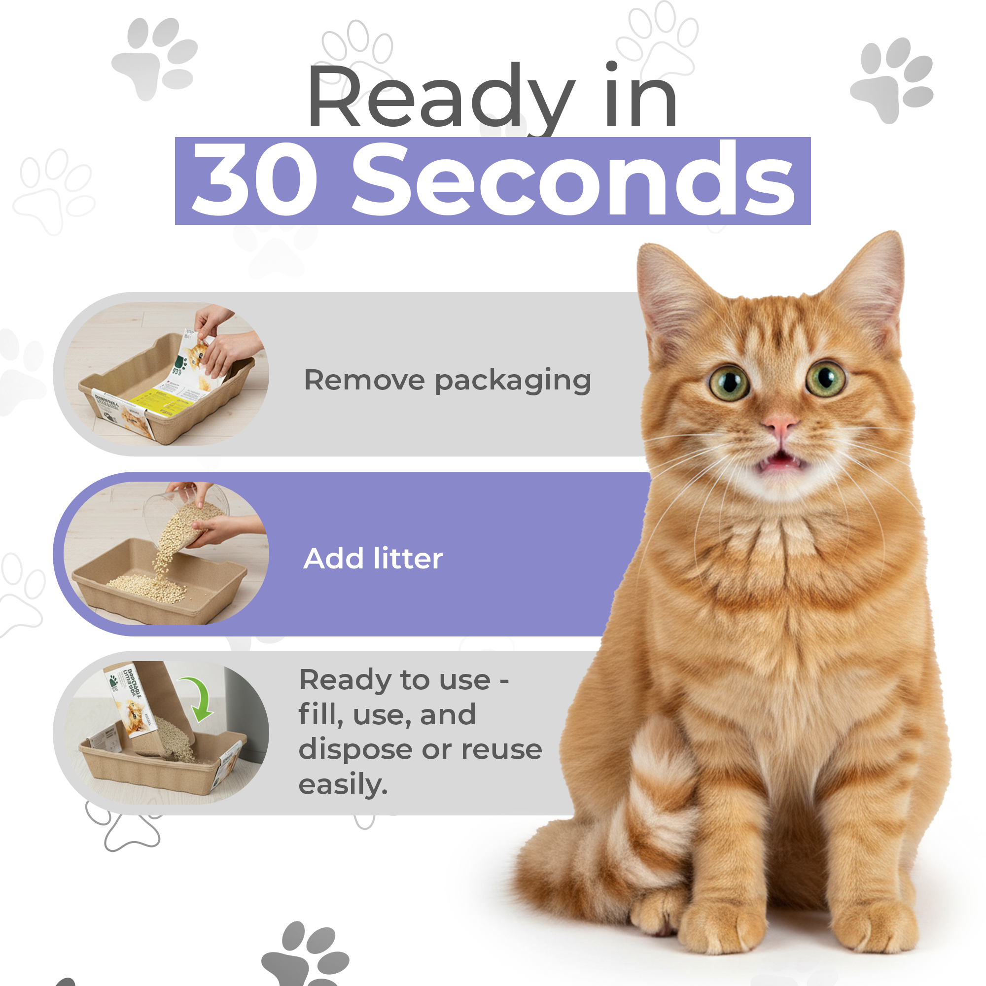 EcoPetBox XL Open Cat LitterTray Highe Edge