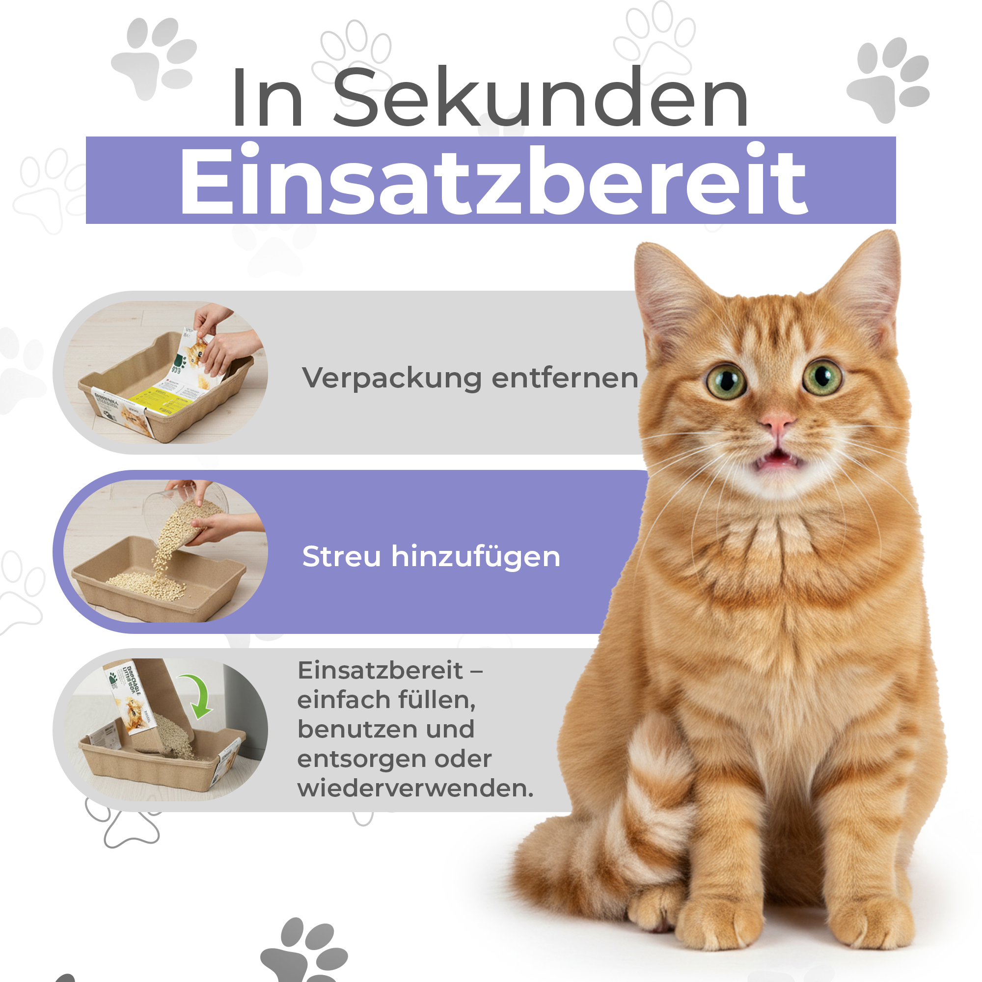 Komplettset Recyclebare-Katzentoiletten 3/6st + 5/10kg Streu oder 3 Näpfe + 3/6 Schaufeln. 100% biologisch abbaubar. Praktisch, hygienisch und geruchsfrei