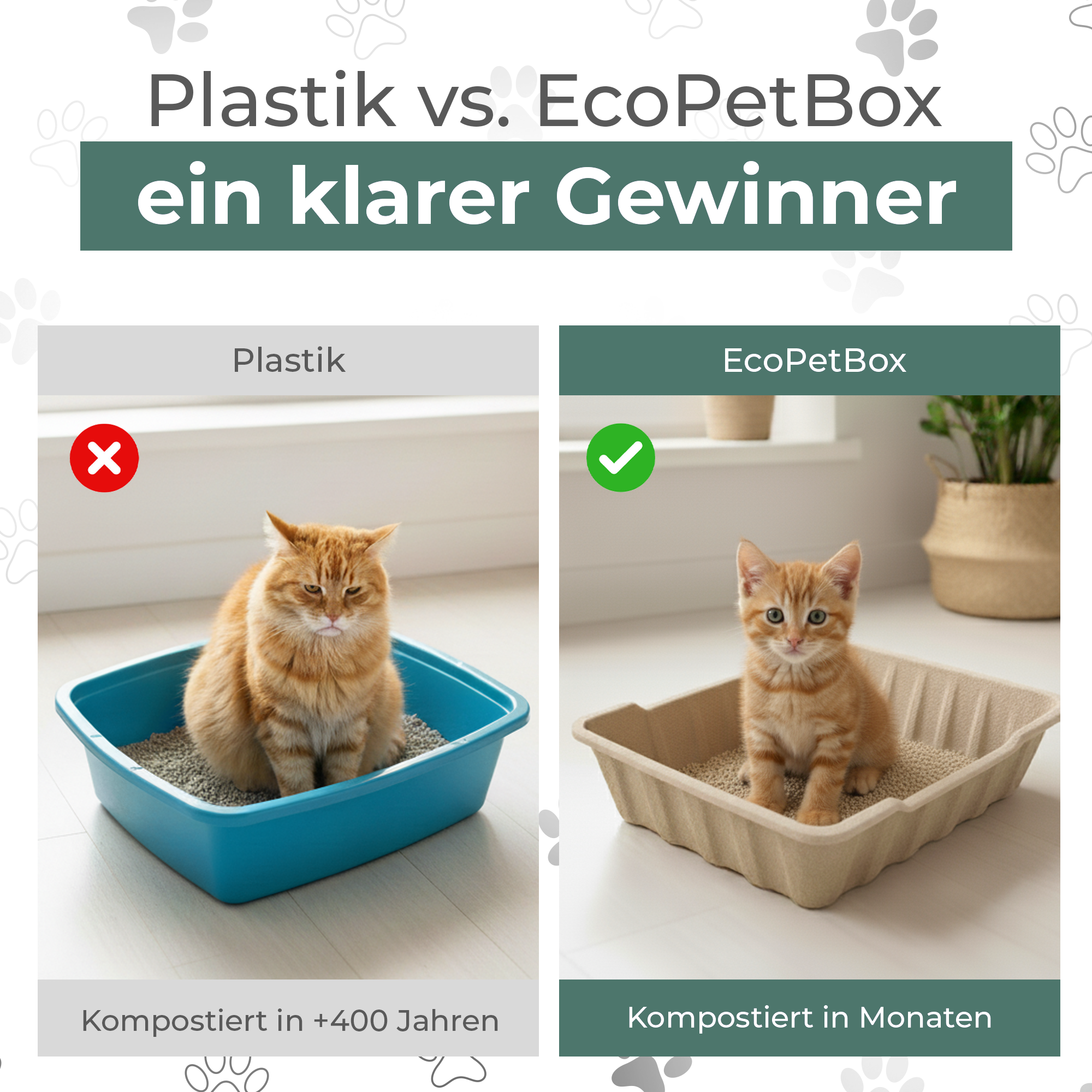 XL Katzentoilette - Hoher Rand