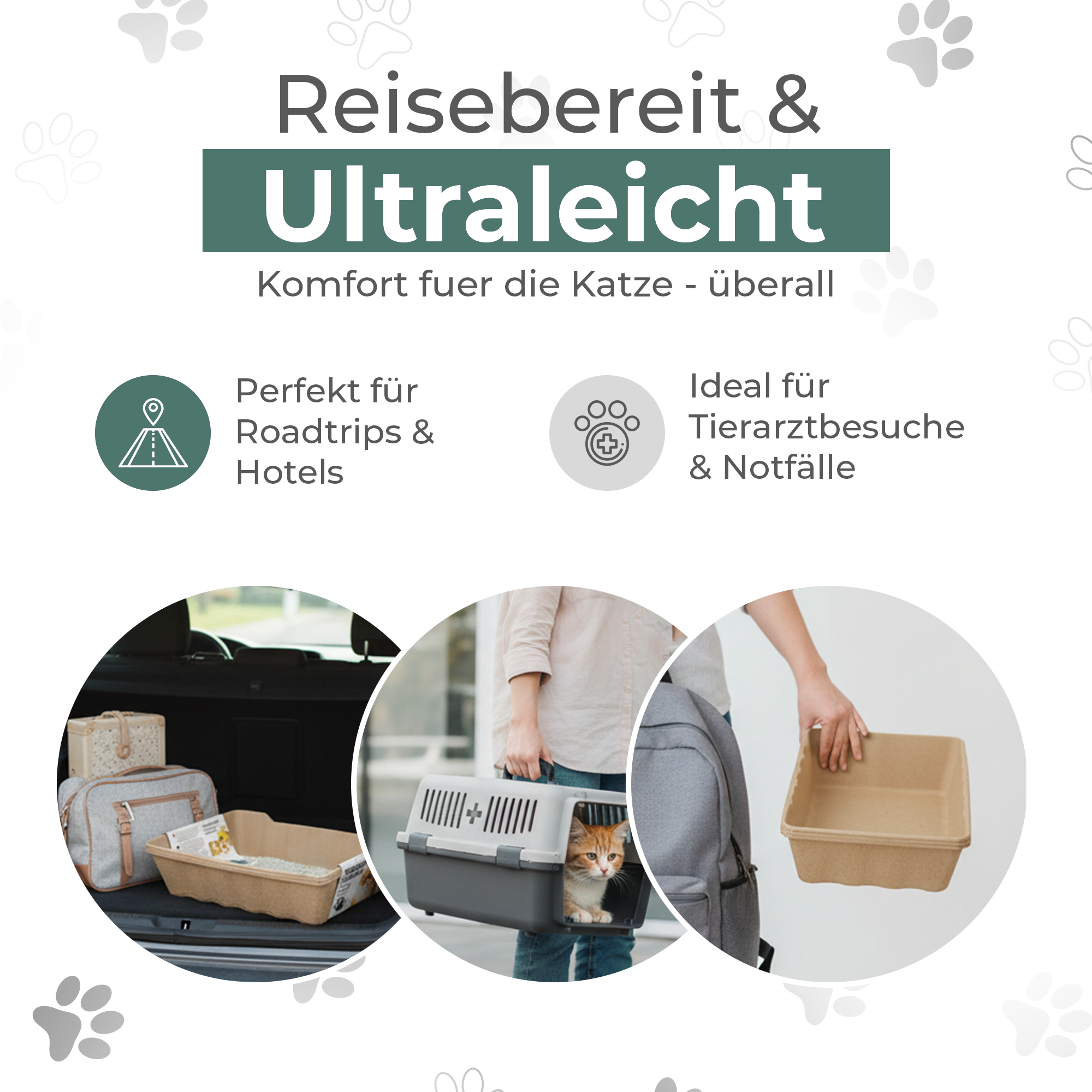 XL Katzentoilette - Hoher Rand