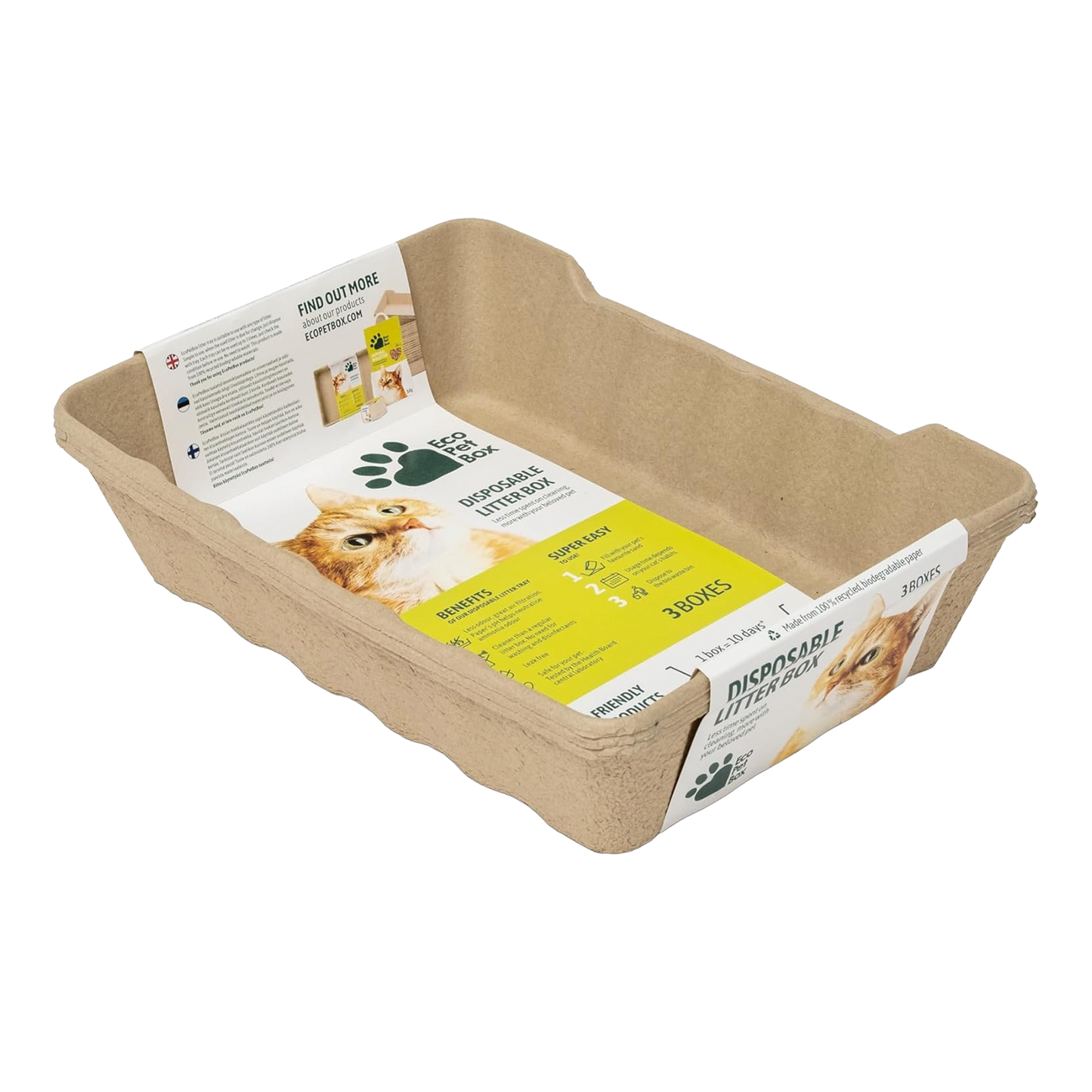 XL Katzentoilette - Hoher Rand