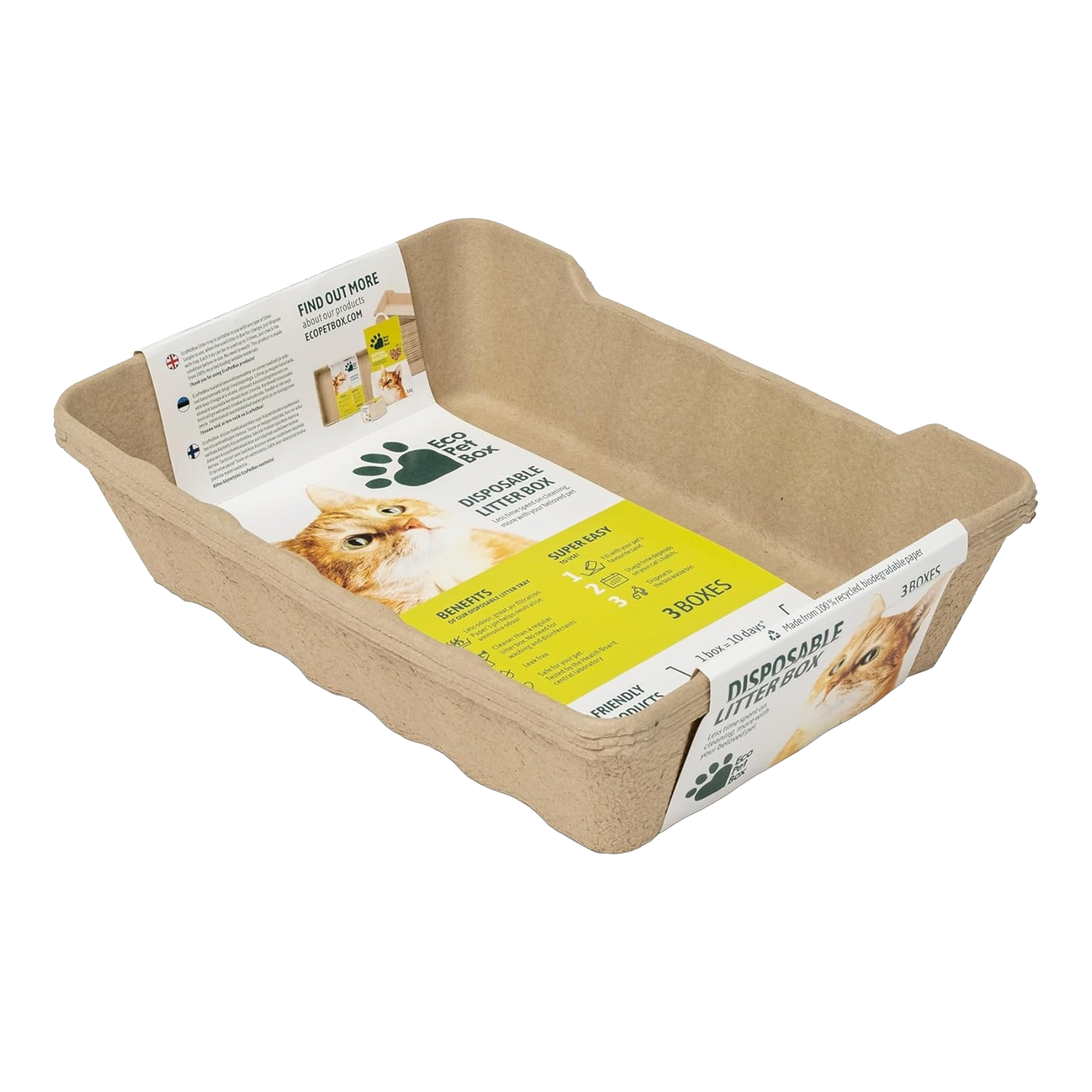 XL Katzentoilette - Hoher Rand