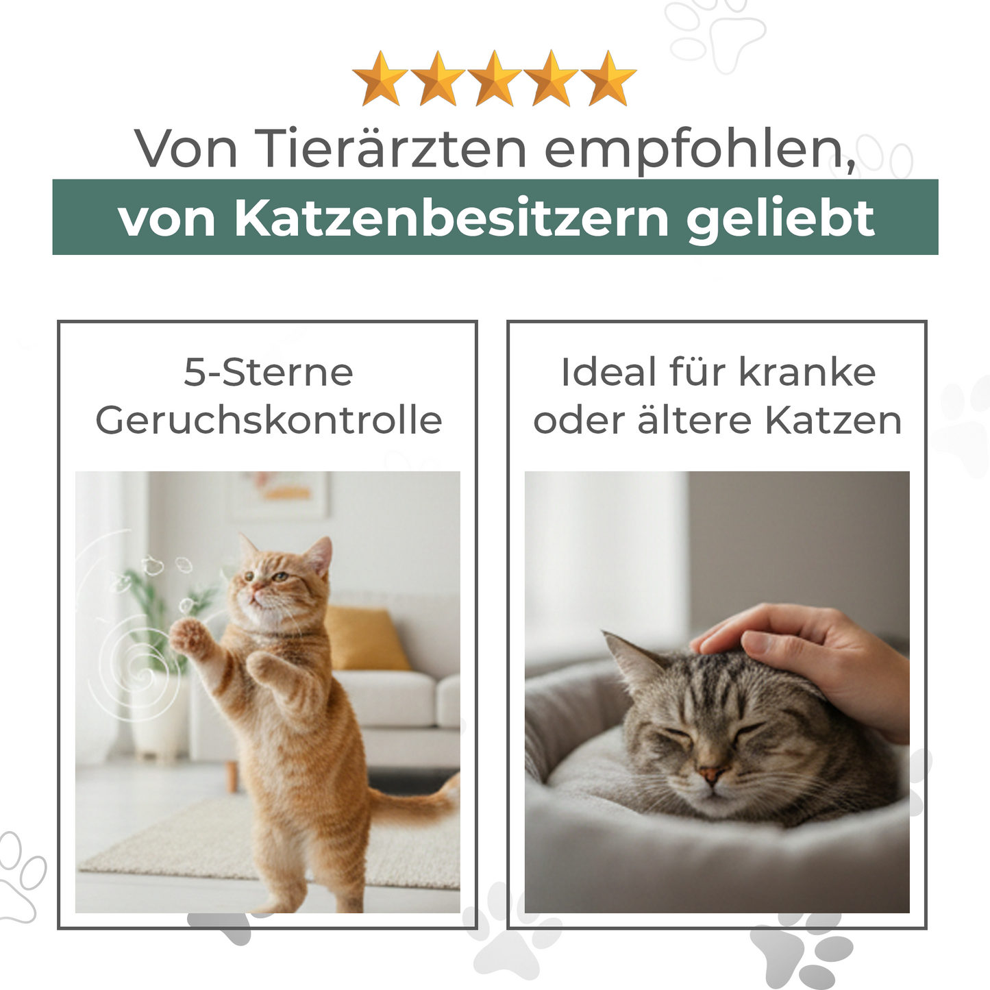 XL Katzentoilette - Hoher Rand