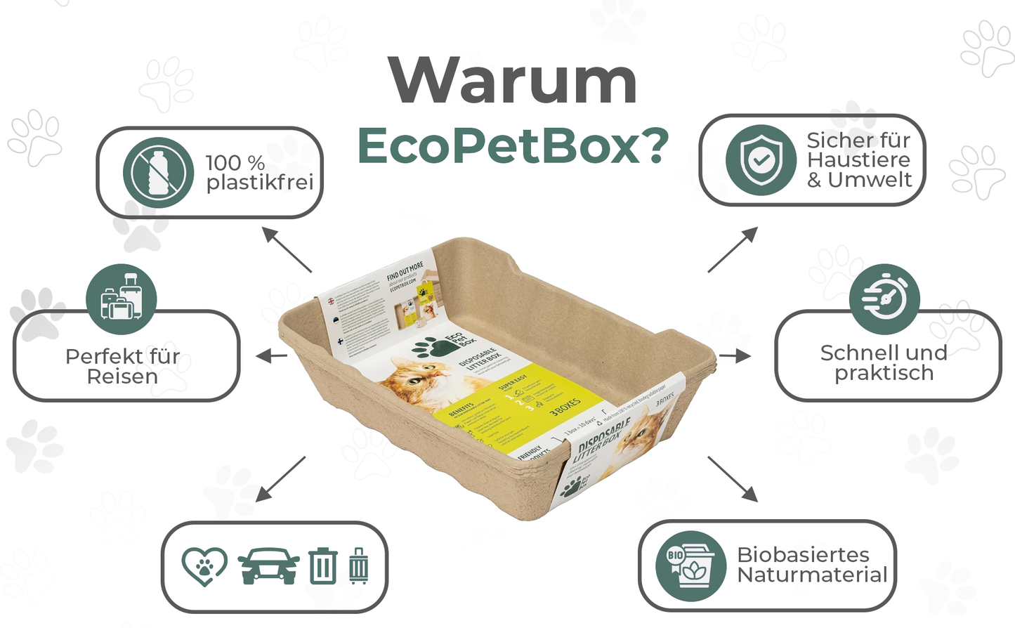 Sparpaket: Recyclebares Katzenpflege Set – Katzentoilette / Streu / Näpfe / Schaufeln