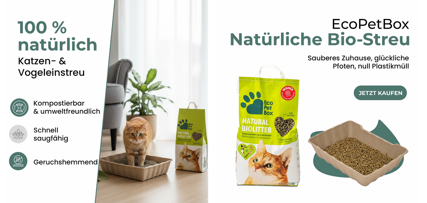 Sparpaket: Recyclebares Katzenpflege Set – Katzentoilette / Streu / Näpfe / Schaufeln